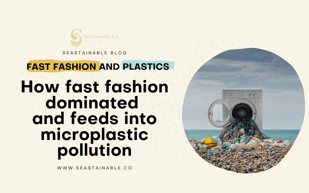 Our Clothes Are Polluting the Ocean How fast fashion dominated and fe