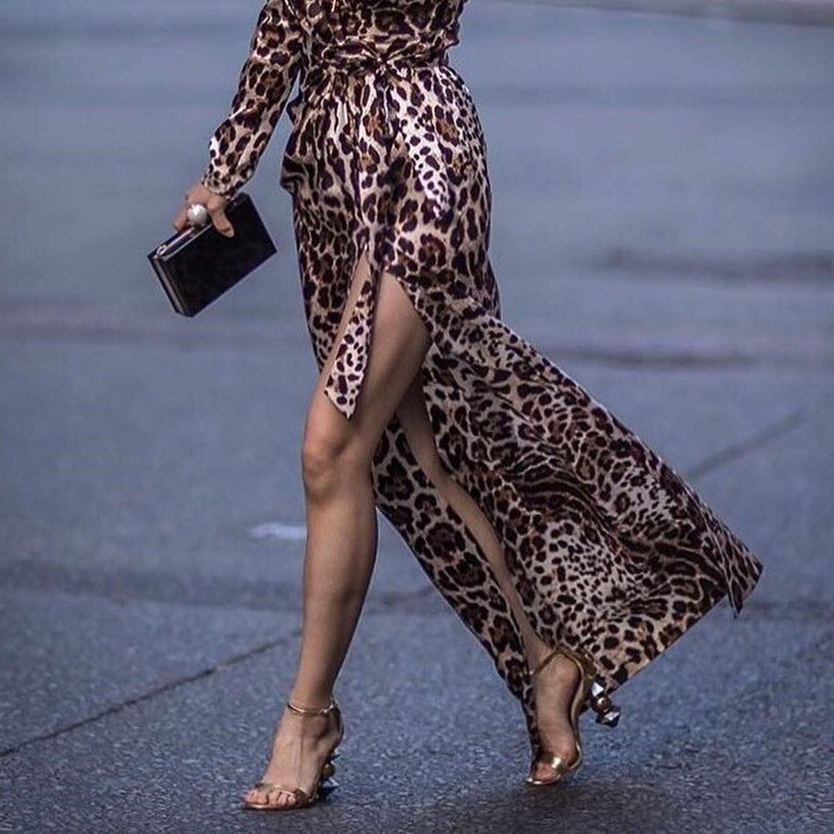 Leopard Print Side Vented long sleeves Dress