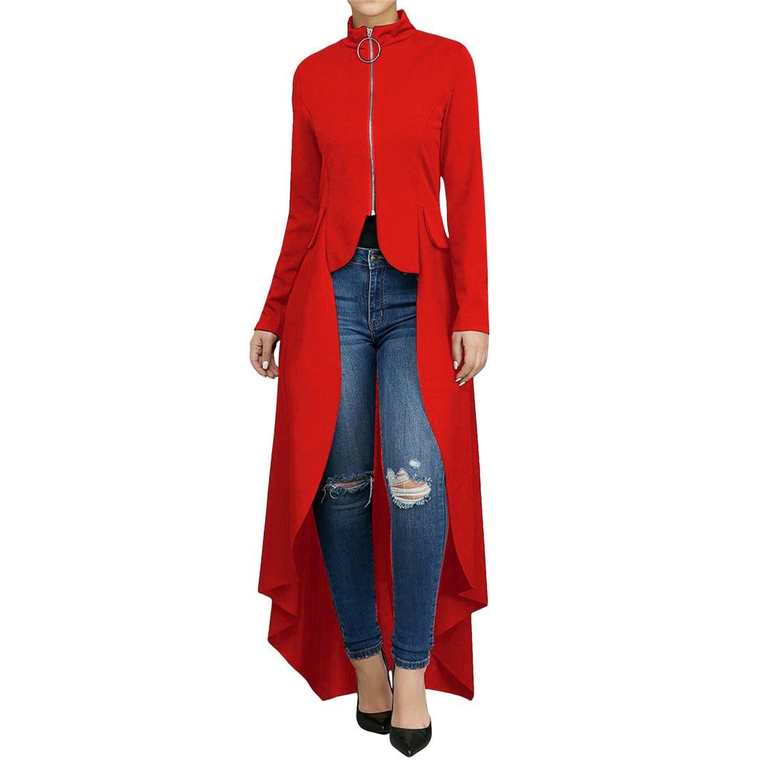 High Necked Zippered Irregular long sleeves Dress