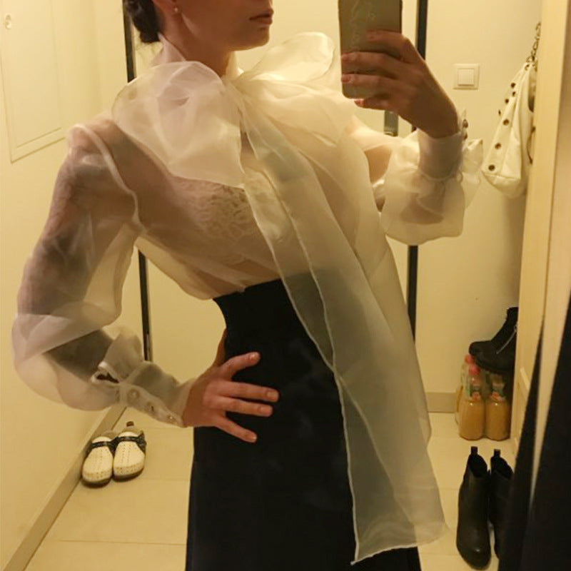 Perspective Bow Tie With Bubble Long Sleeve Organza Blouse Top