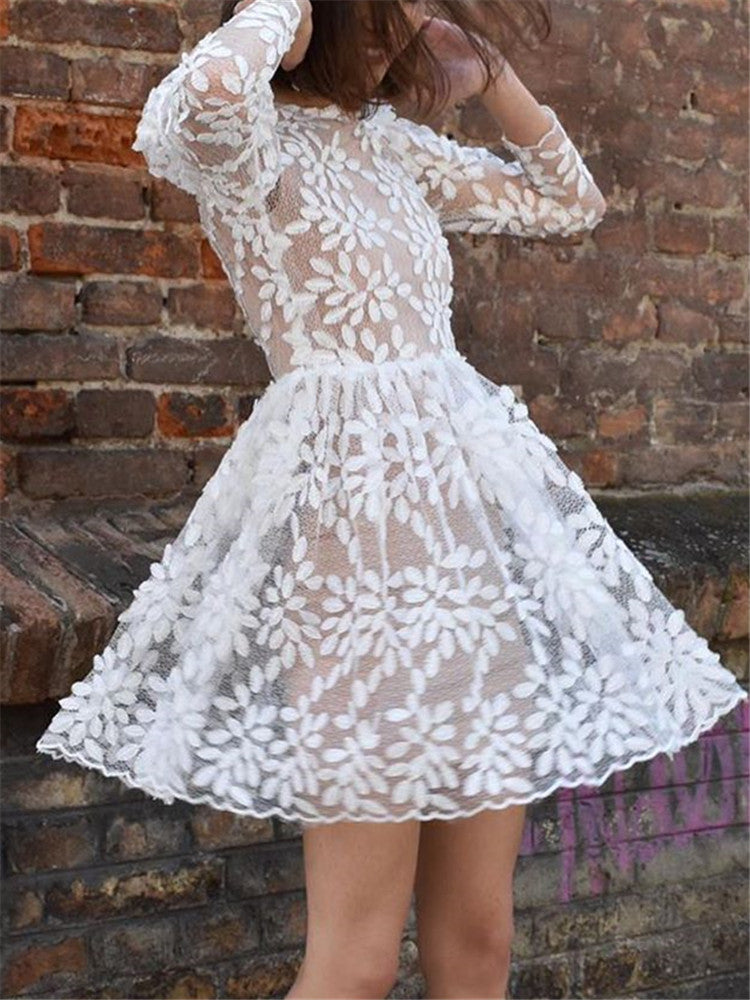 Round Neck Long Sleeve Lace See Through A-Line Dress