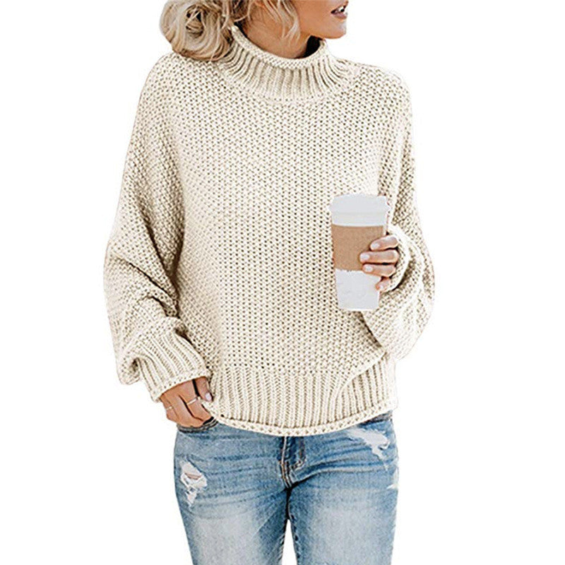 Brief Pure Color High Neck Sweater