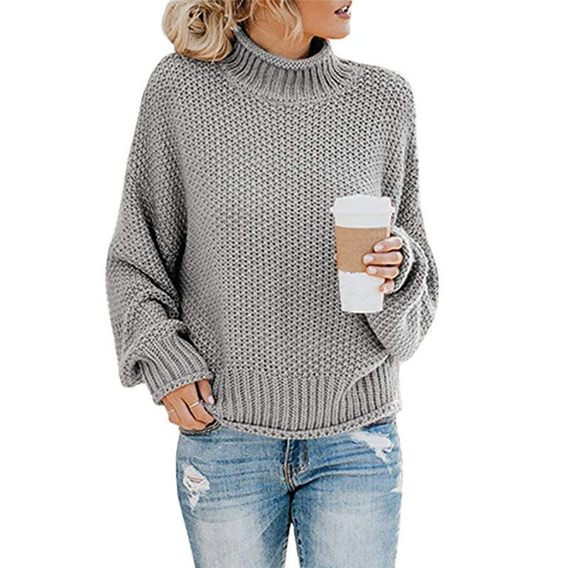 Brief Pure Color High Neck Sweater