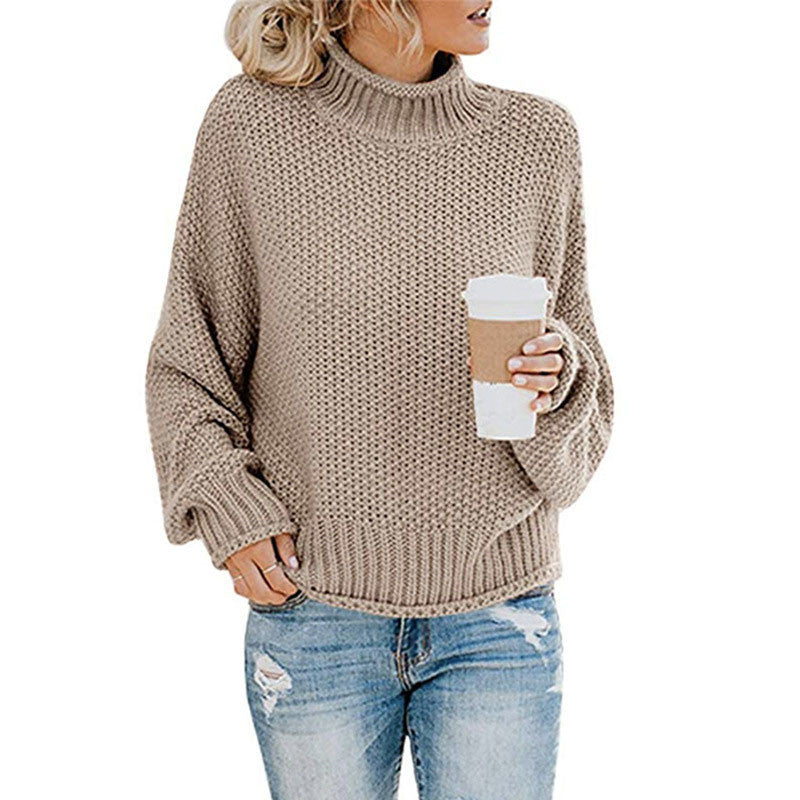 Brief Pure Color High Neck Sweater