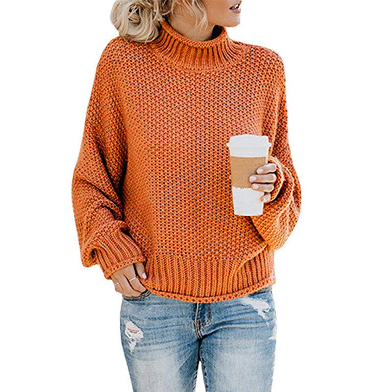 Brief Pure Color High Neck Sweater