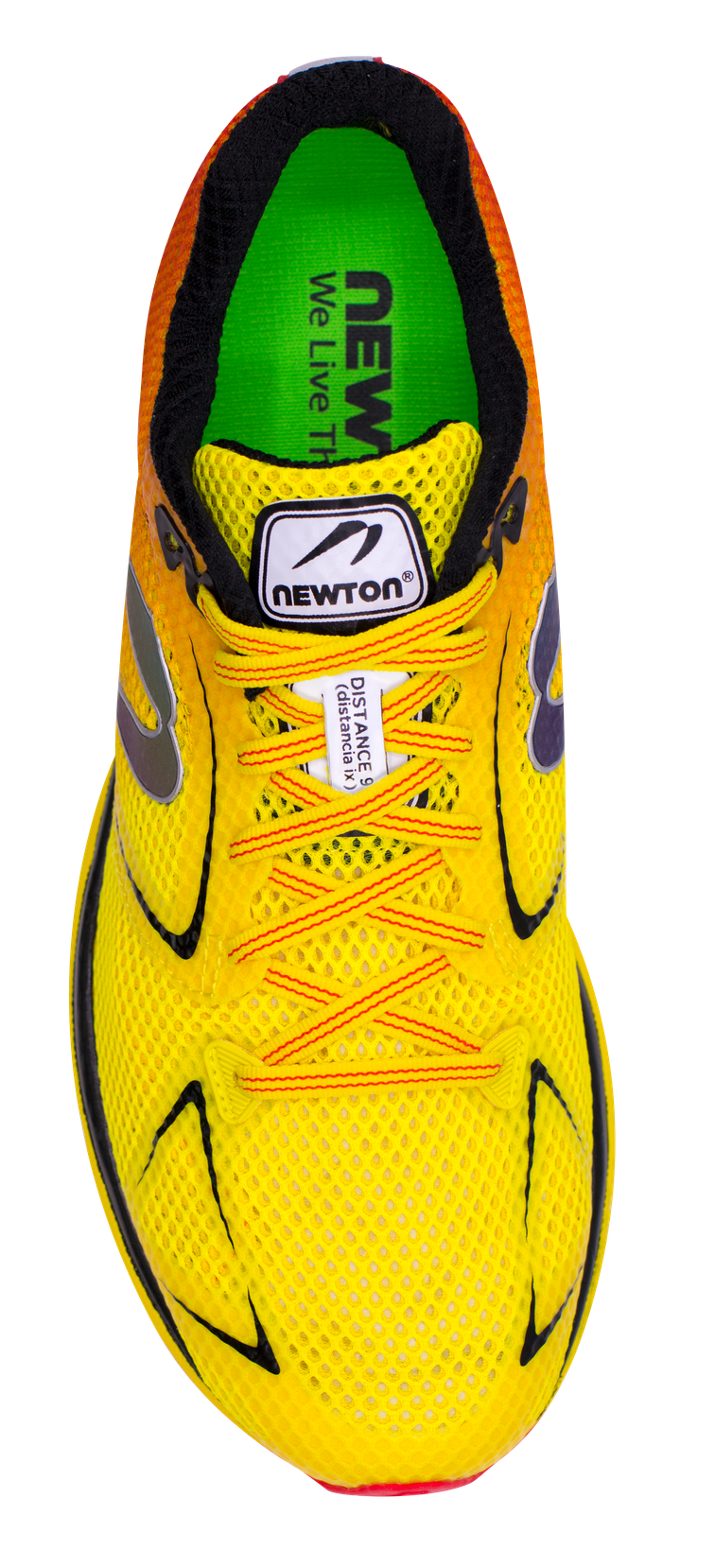 newton running sneakers