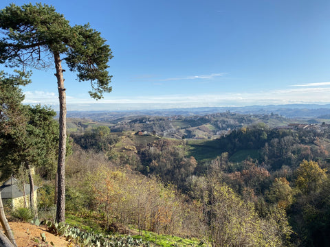 Backroads French Riviera 