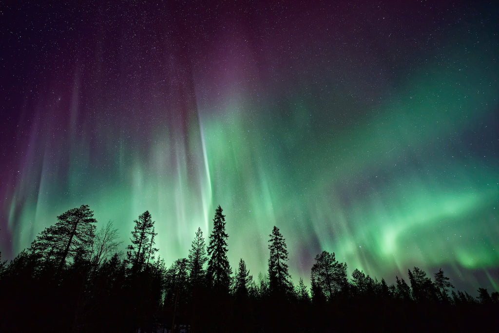 Die atemberaubenden Polarlichter in Lappland