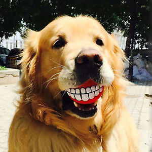 dog ball with teeth