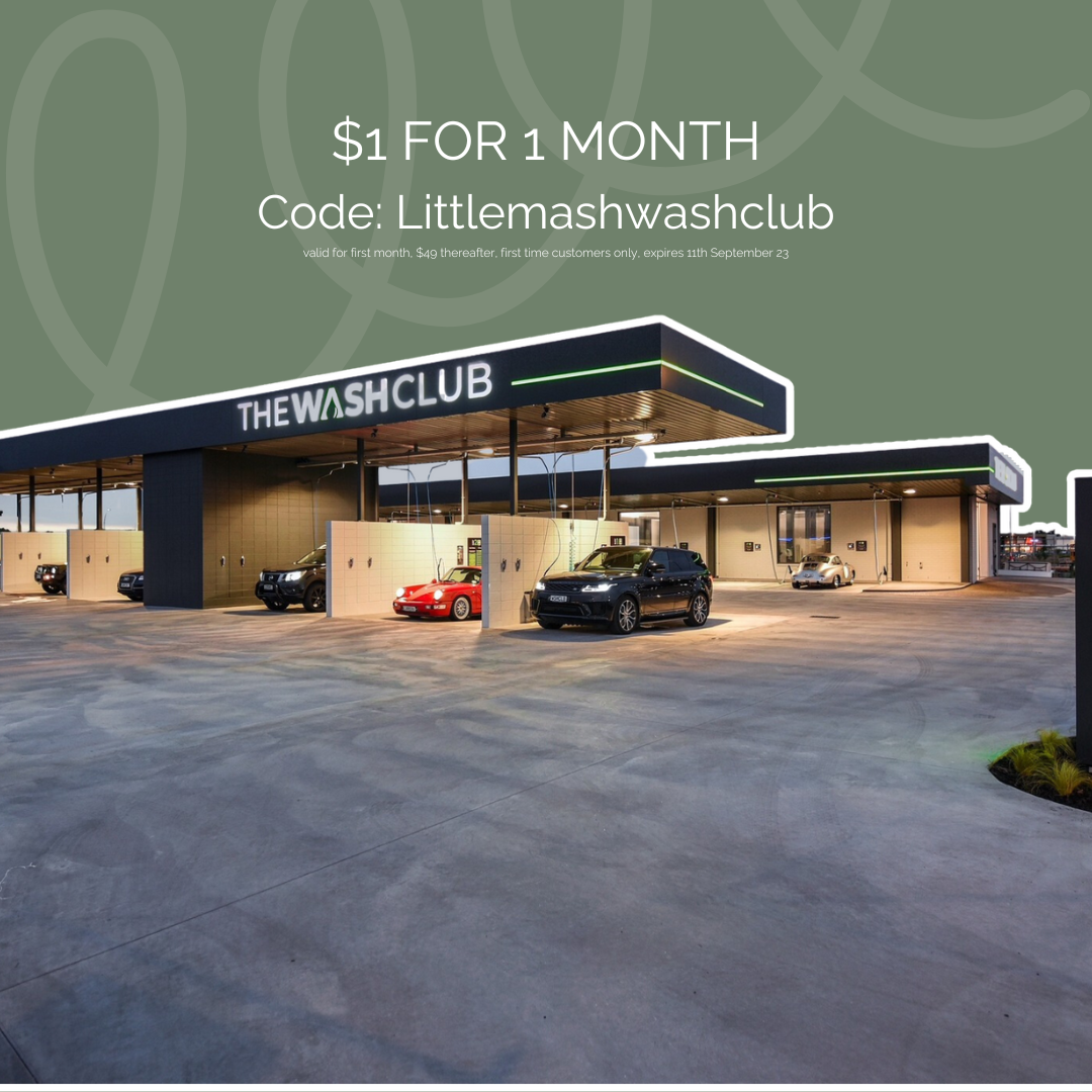 Littlemashwashclub for $1 car wash