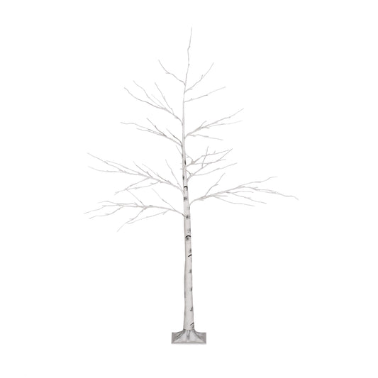 Berwick 4-Foot Pre-Lit 48 White LED Artificial Twig Birch Tree, White –  GDFStudio