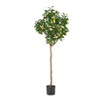 Rattler Artificial Lemon Tree – GDFStudio