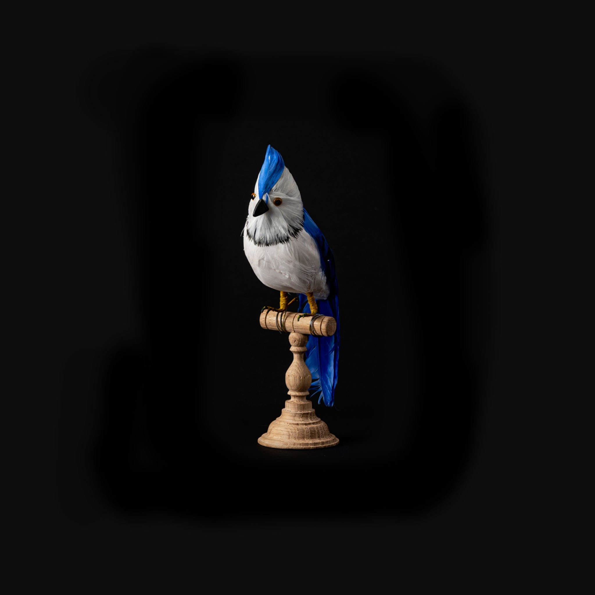 ARTIFICIAL BIRDS / BLUE JAY