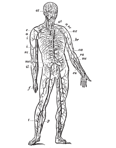 decrease inflammation