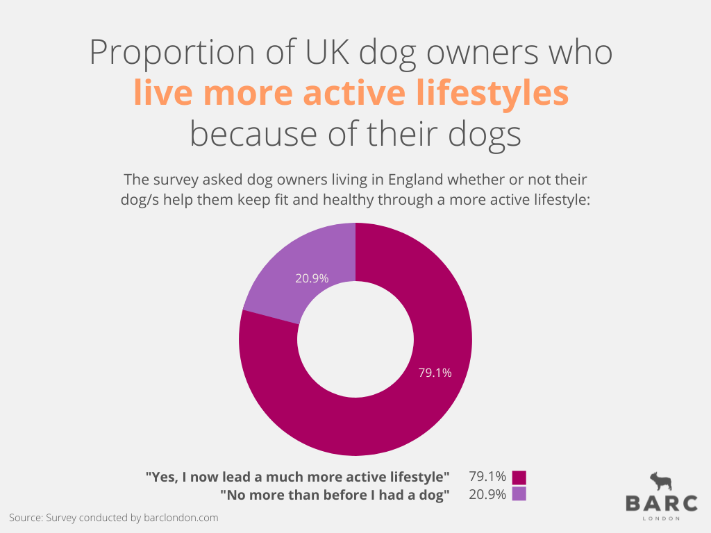 Donut Chart Showing Dog Owners Statistics for Healthy Lifestyles