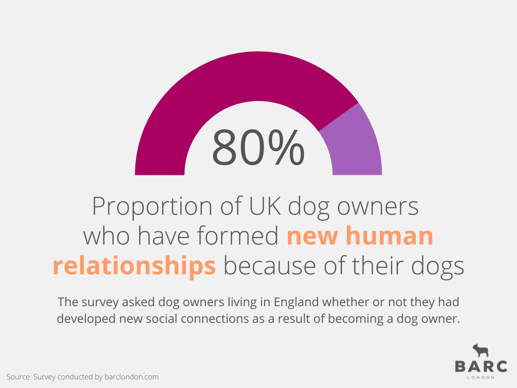 Radial Graph Showing Dog Owner Statistics for Human Connection