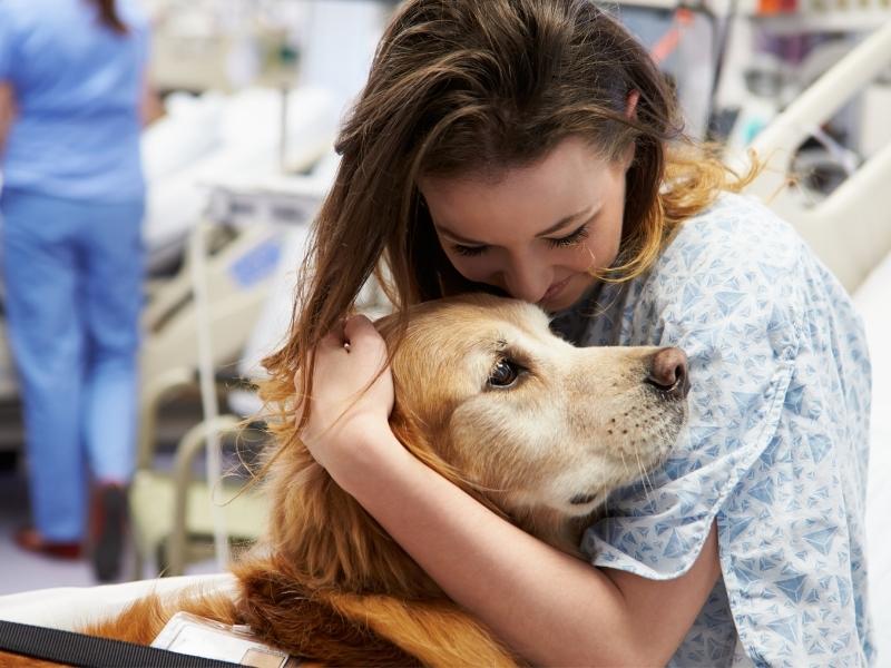Animal Assisted Therapy Dog Comforting a Female Patient