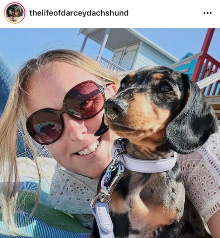 Dachshund Selfie