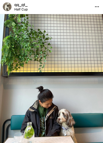 Dog Owner at Coffee Shop Taking Time for Wellness Break