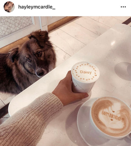 Dog Enjoying Coffee during Wellness Break
