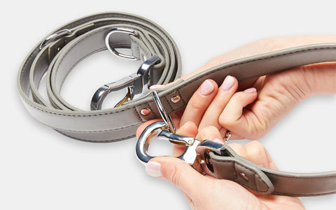 Grey Extendable Dog Lead Clip Demonstration