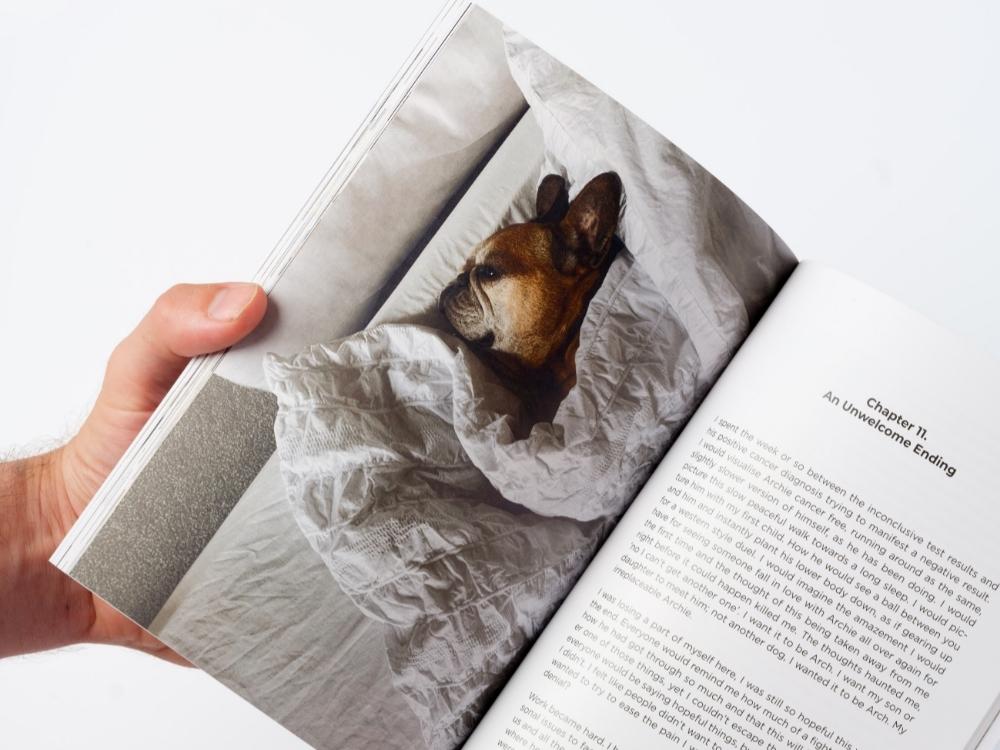 Book About a French Bulldog 