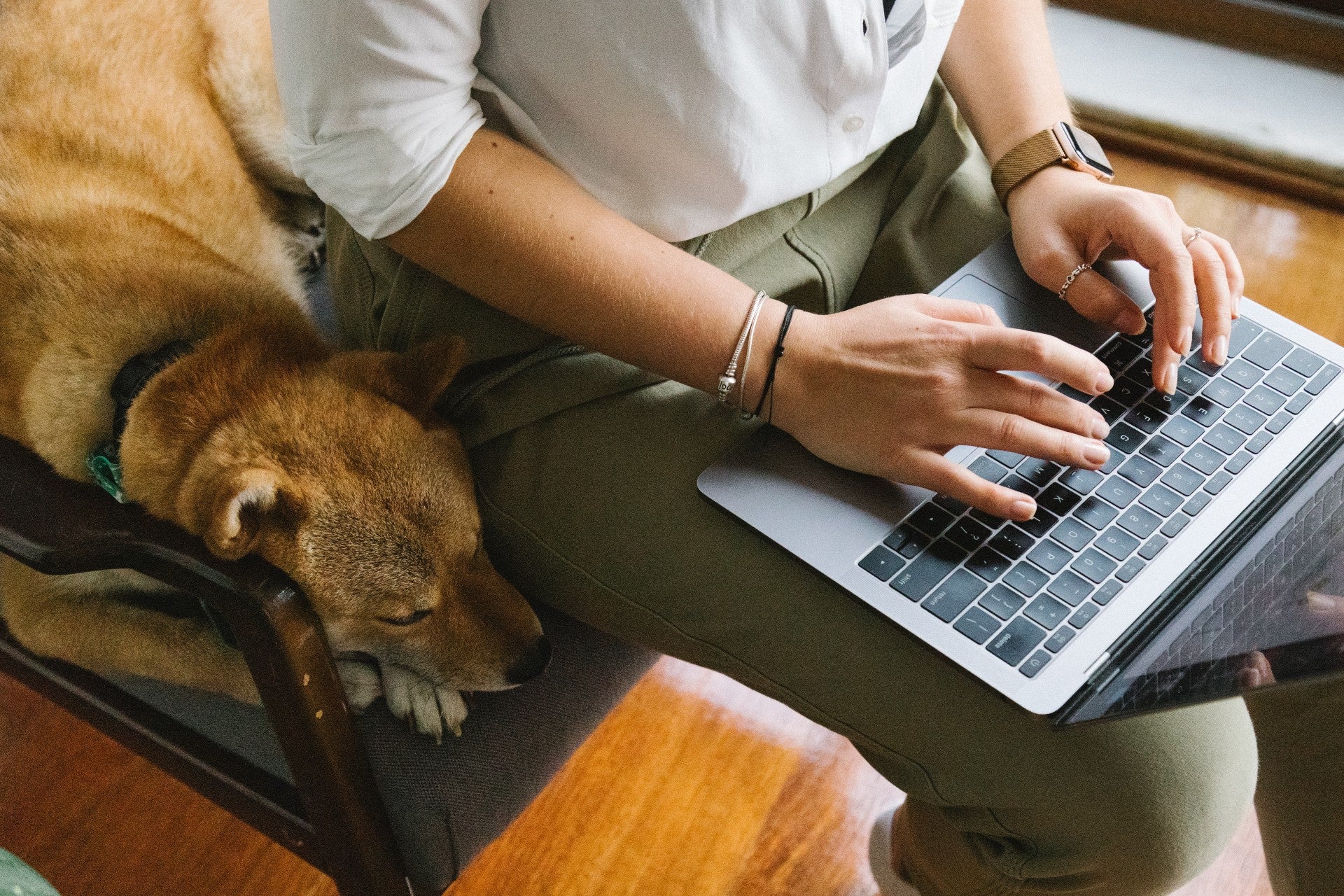 How to Have a Dog and Work Full Time by Meruyert Gonullu from Pexels