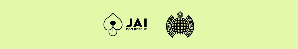 Jai Dog Rescue, charity partner and sister company of Ministry of Sound