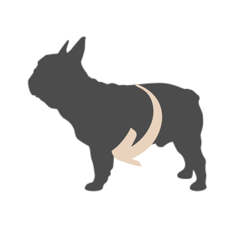 dog coat with front legs clipart