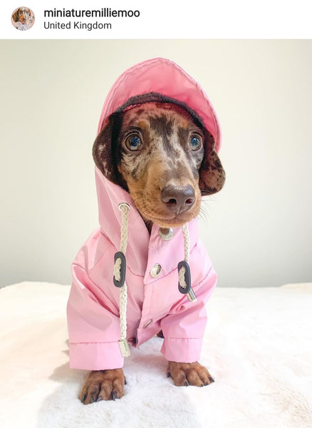 Pink Waterproof Dog Coat With Hood