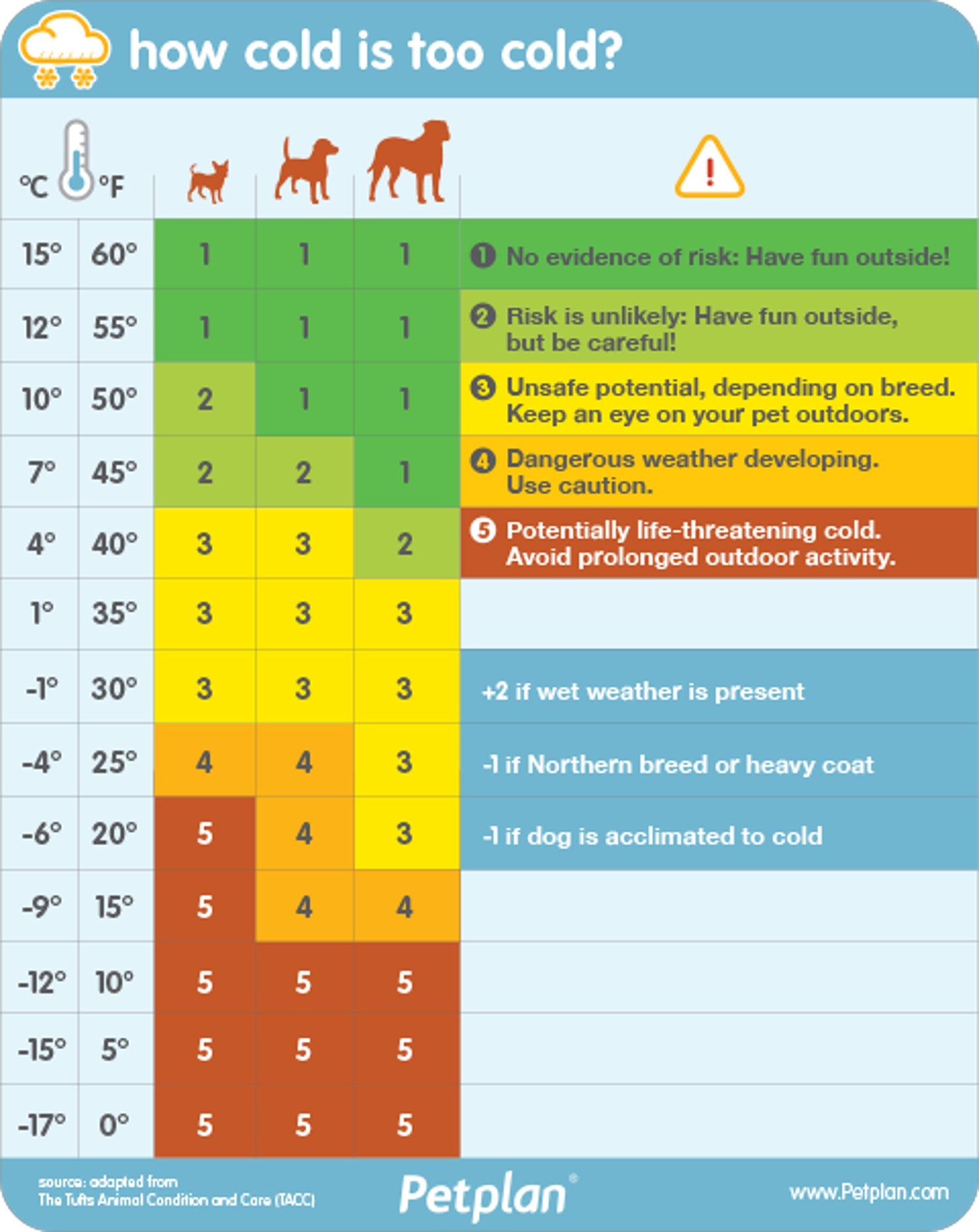 Weather Chart for Dog Walking in Winter (Created by Petplan)