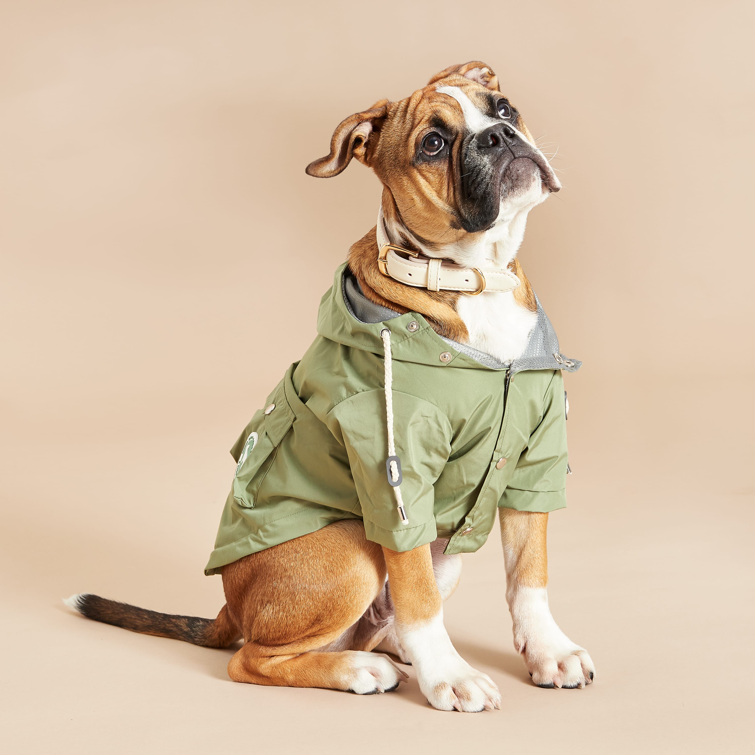 dog raincoat waterproof