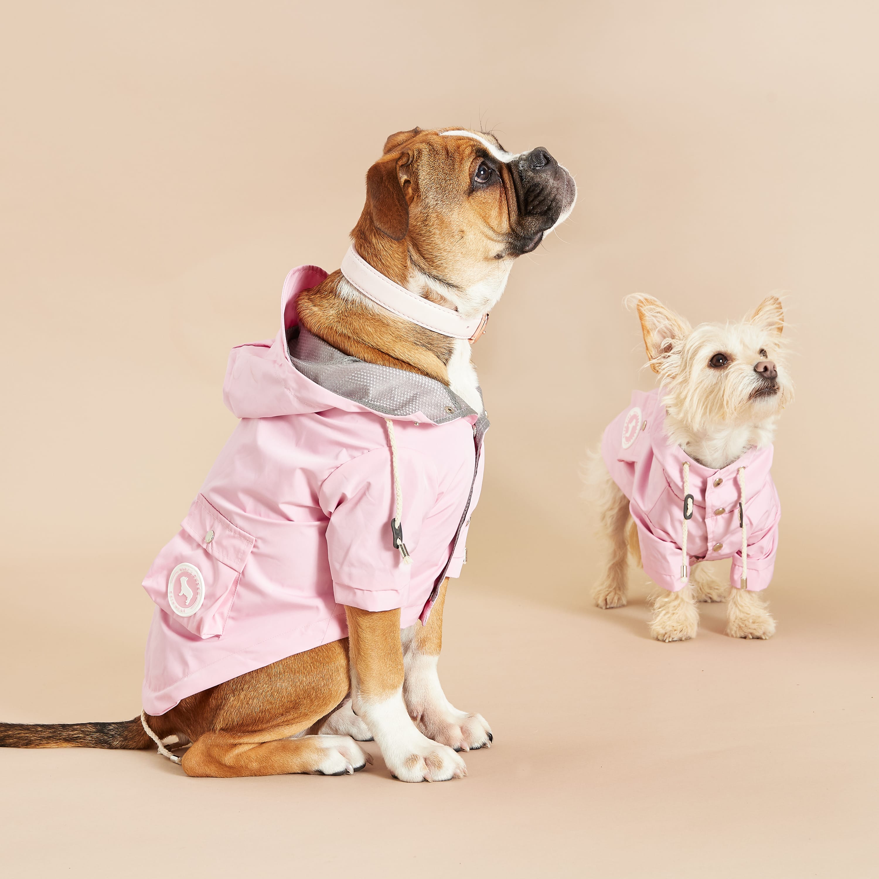 pink dog raincoat