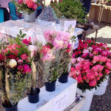 peony bouquets at Brooks Gardens Oregon farm