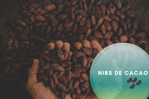 Nibs de Cacao