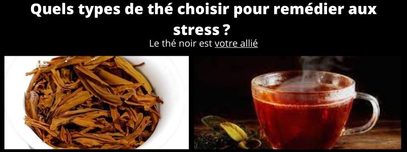Quels types de thé choisir pour remédier aux stress ? 
