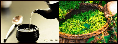 Quel est le meilleur thé vert pour maigrir ? - Saveur-thé.fr votre Boutique  de vente en ligne de thé