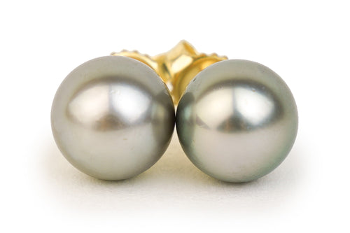 10mm Tahitian South Sea Round Pearl Stud Earrings- Various Colors