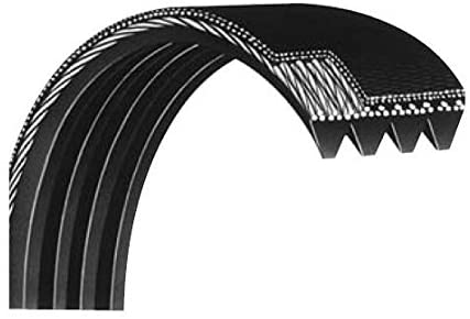 Horizon Fitness Matrix Retail Elliptical Poly V Drive Belt 8 Rib