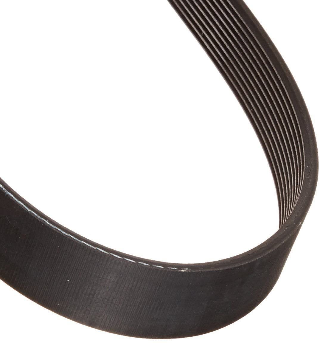 Spirit Trax Flex Treadmill Main Drive Belt 220 J