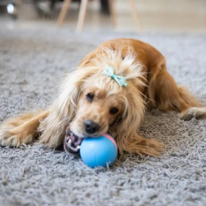 smart pet ball