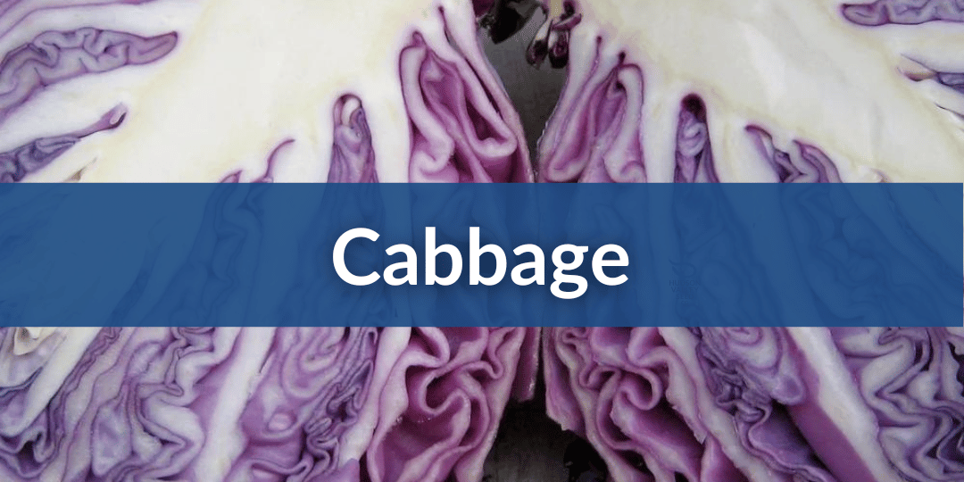 Cabbage Mobile.png__PID:d44ee59c-f2ee-464c-a9ab-08cb50230d04