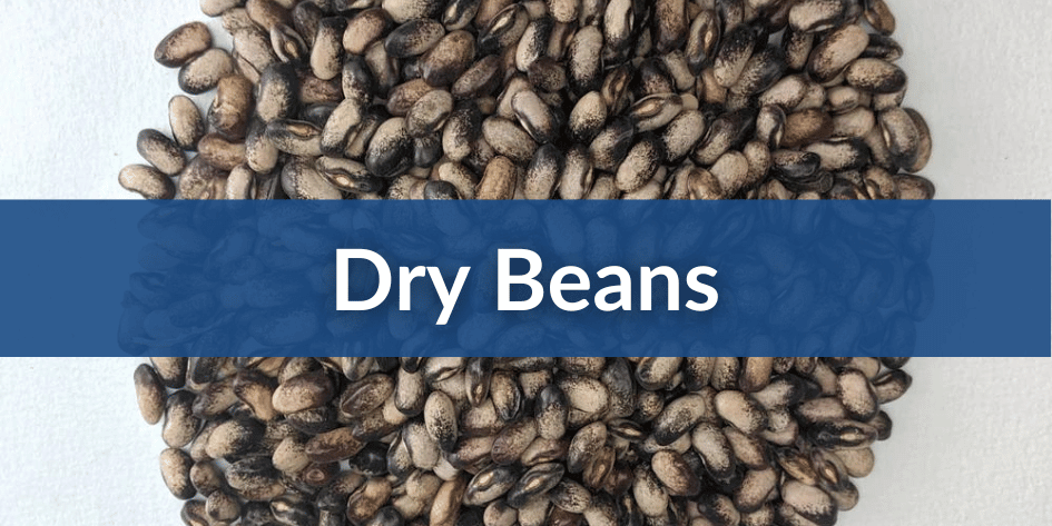 Dry Beans Mobile (1).png__PID:3a0d0ff3-bb6f-4453-a4b1-e170c51cf8fd