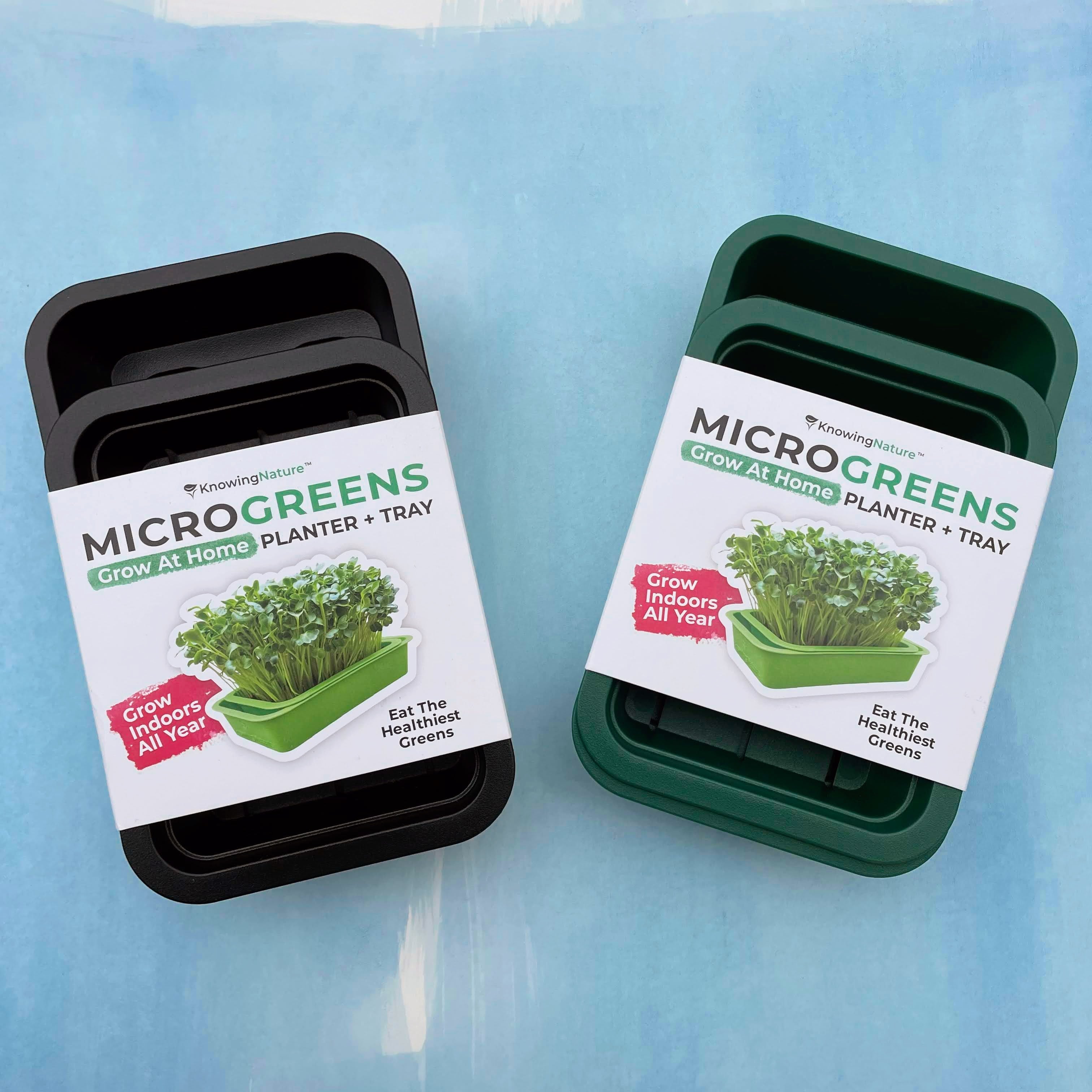 Windowsill Microgreens Kit