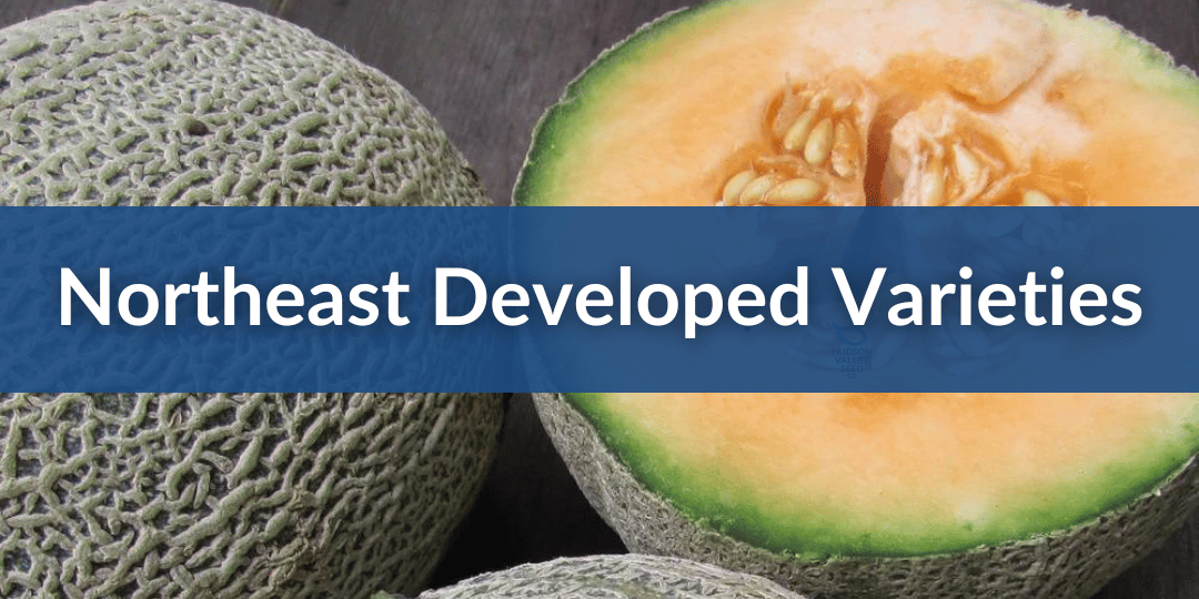 Northeast Developed Varieties.png__PID:f4263286-3f18-4d34-a9a4-a6dbcfefeaf1