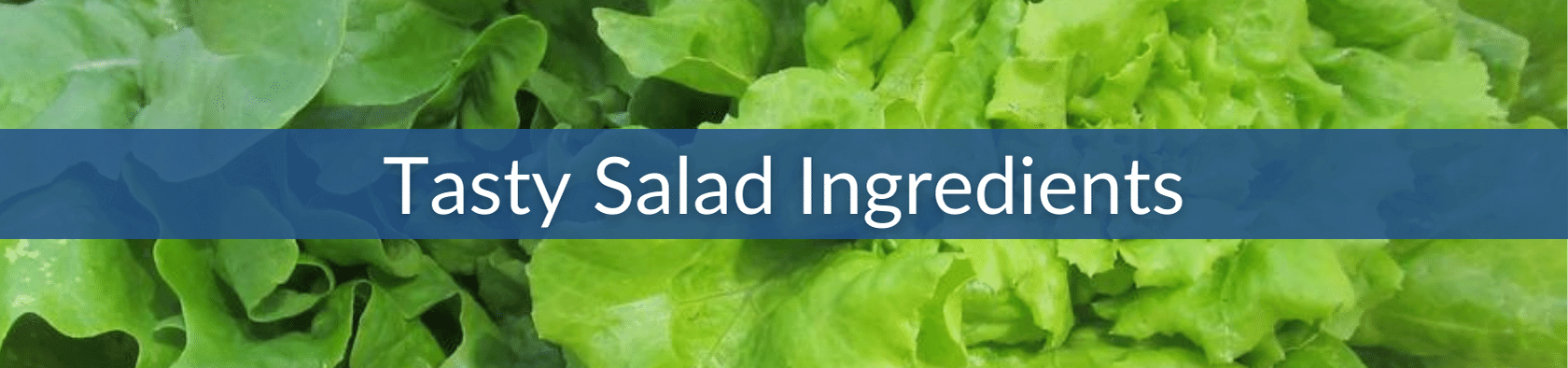 Salad Collection (1).png__PID:d6d5707c-2e93-4132-9560-31aafd0b49f1