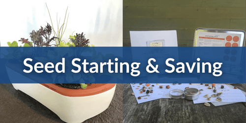 Seed Starting & Saving (1).png__PID:54a4de5d-8a0a-4222-8ad2-2f313e174cad