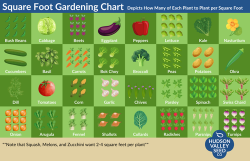 Square Foot Gardening Chart.png__PID:954bb287-3153-4ad3-91da-8486e18650cd