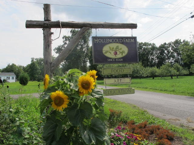 hollengold farm sign (640x480)