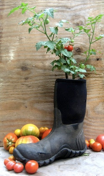 10 Container Gardening Tips and Top Varieties for Small Spaces – Hudson ...
